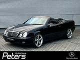 Mercedes-Benz CLK 230 KOMPRESSOR Cabriolet Avantgarde/Navi - Mercedes-Benz CLK 230: Kompressor