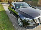 Mercedes-Benz E 350d EXCLUSIVE Autom. EXCLUSIVE - Mercedes-Benz E-Klasse: Exclusive