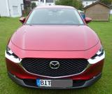 Mazda CX-30 e-SKYACTIV-G M-Hybrid Exclusive-Line A... - Mazda CX-30 mit Benzin-Antrieb: Exclusive Line