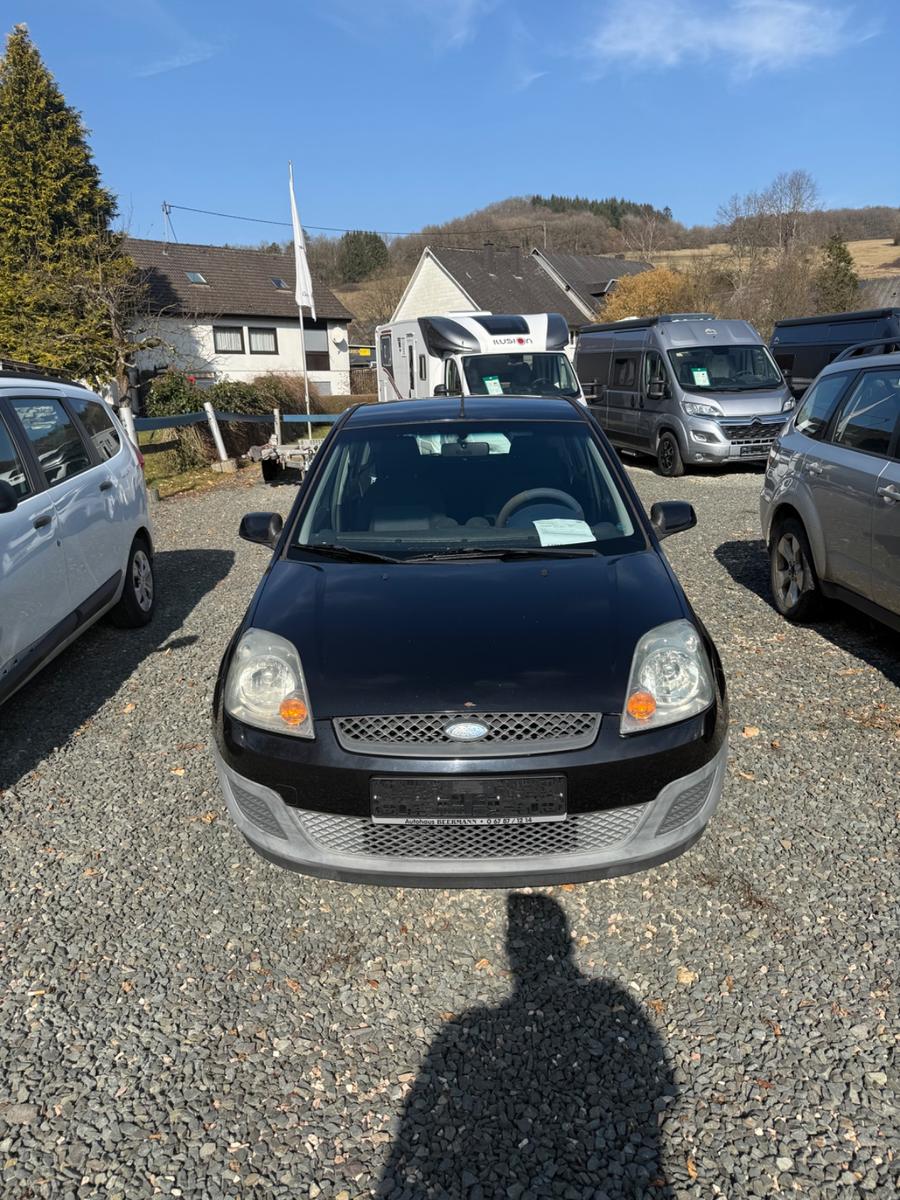 Ford Fiesta Fun