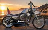 Harley-Davidson Sportster 1200 Custom  - HARLEY-DAVIDSON 2005 SPORTSTER 1200