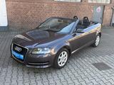 Audi A3 Cabriolet*Ersthand*Scheckheft* - Audi A3 aus 2010: Cabrio