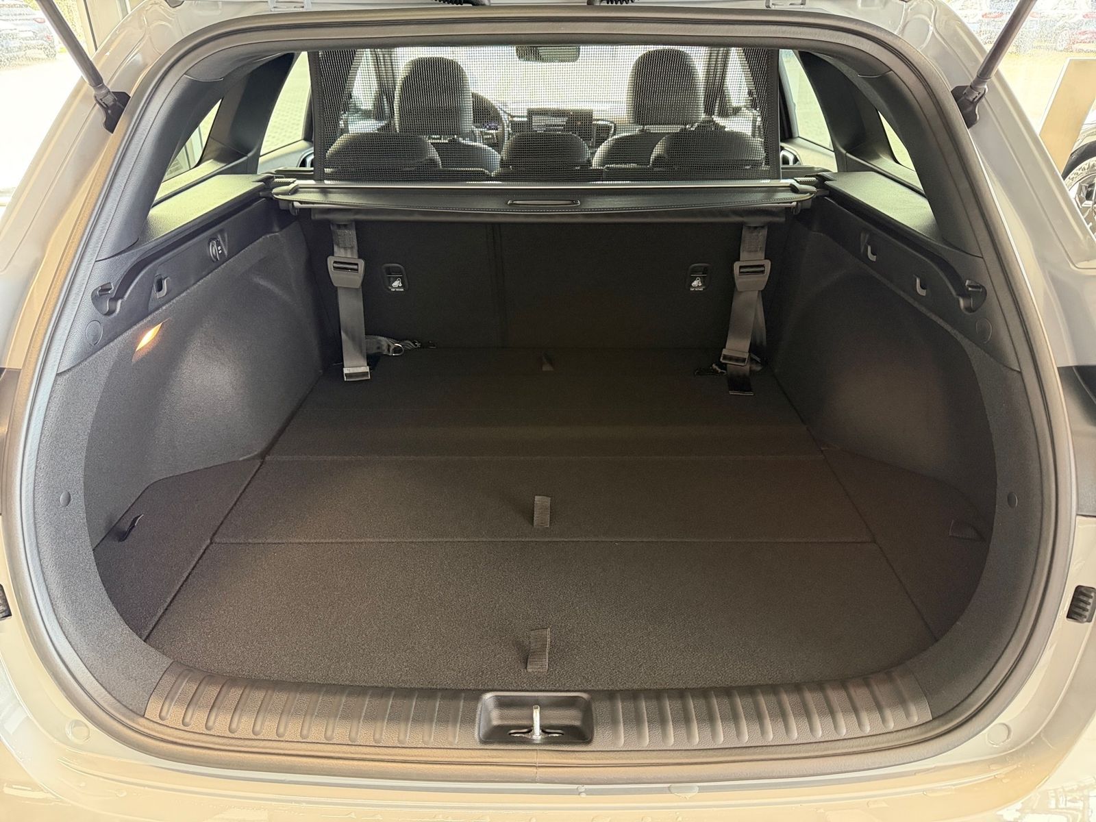 Fahrzeugabbildung Kia CEED_SW 1.0T 48V DCT 100 NIGHTLINE