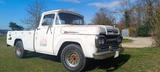 Ford F-250     Oldtimer mit Patina, TÜV und H - Ford Gebrauchtwagen von 1960