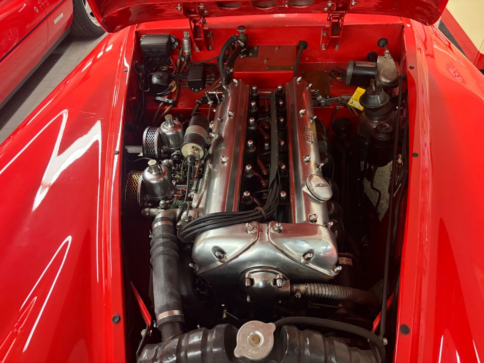 JAGUAR XK 18