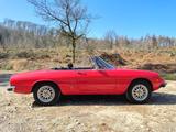 Alfa Romeo Spider - Alfa Romeo aus 1973