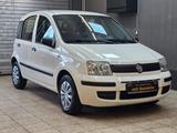 Fiat Panda 1.1 8V Active - Fiat Panda: Active