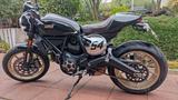 Ducati Scrambler Café Racer 800 TOP  GEPFLEGT wenig KM - DUCATI SCRAMBLER CAFE RACER