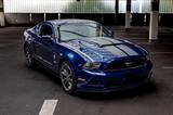 Ford Mustang Roush RS LPG Handschalter - Ford Mustang: Roush