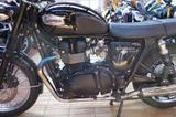 Triumph Bonneville T100+986MF+Bagster+LSL+ÖHLINS+AceCafe - TRIUMPH MOTORRAD