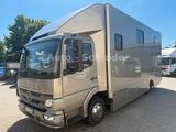 Mercedes-Benz Atego 816L Pferdetransport