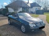Mercedes-Benz CLK 280 ELEGANCE Cabriolet Automatik 6-Zylinder  - gebrauchte Mercedes-Benz CLK 280 aus dem Jahr 2008