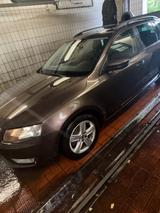 Skoda Octavia 1.4 TSI G-TEC Active Combi Active - Skoda Octavia mit CNG-Antrieb: Kombi, 1.4