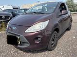 Ford Ka Trend - Ford Ka/Ka+ in Solingen