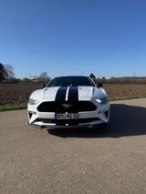 Ford Mustang 5.0 Ti-VCT V8 GT Auto GT - Ford Mustang Gebrauchtwagen in Stuttgart