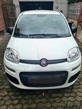 Fiat Panda, 1,2, 51 KW,  TÜV 07/ 2027, 44.... - Fiat Panda: Kombi