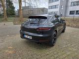 Porsche Macan GTS GTS - Porsche in Bergisch Gladbach