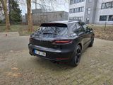 Porsche Macan GTS GTS - Porsche Macan in Köln