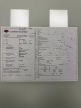 Harley-Davidson Sportster XL 1200 Iron - HARLEY-DAVIDSON SPORTSTER IRON