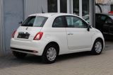 Fiat 500 Cult Hybrid+Klima+Tempomat+1.Hand - Fiat 500 mit Benzin-Antrieb