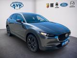 Mazda CX-30 2.5 eSKYACTIV-G 140 Homura - Mazda CX-30 Tageszulassungen
