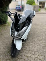 Honda Forza 300, ABS, Thermoscud, Topcase, neue Reifen - Offers matching your search criteria