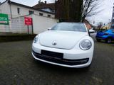 Volkswagen Beetle Cup  GARANTIE - Volkswagen Beetle in Essen