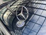 Mercedes-Benz E 240 Avantgarde 24 J. 1.Hd. GSD Xenon Traumzust - Mercedes-Benz E 240: Avantgarde