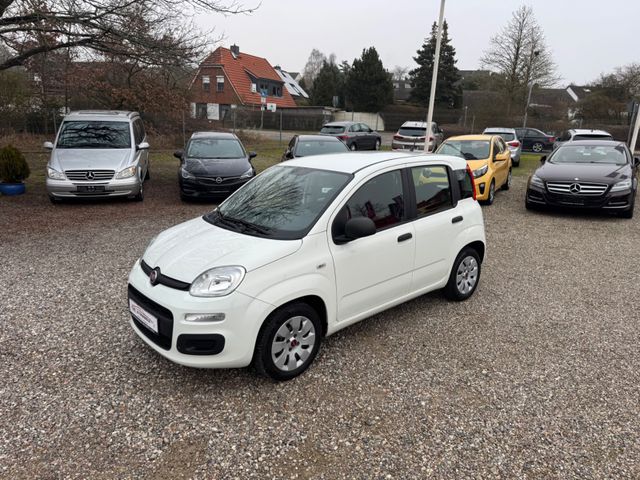 Fiat Panda 1.2 Klima 1.Hand Top !!!