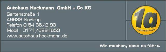 Ford Edge Vignale 4x4 Pano+AHK+Sthzg.+1.Hd+LED+RFK