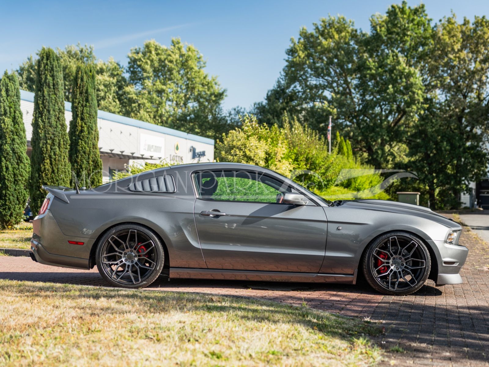 Fahrzeugabbildung Ford Mustang GT *Neidfaktor+480PS*