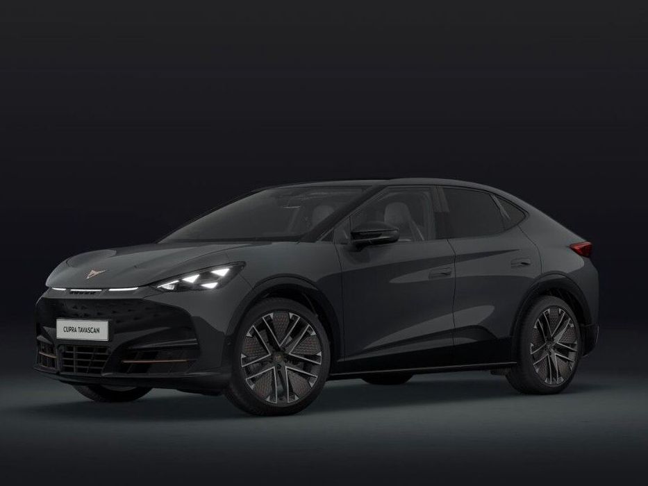 Tavascan VZ 250 kW 4Drive|Extreme|Leder|Heat