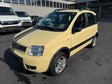 Fiat Panda 1.2 8V Trekking 4X4 - Fiat Panda aus 2005: Allradantrieb