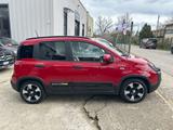 Fiat Panda Cross 1.0 FireFly S&S Hybrid - Fiat Panda Jahreswagen