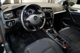 Volkswagen Golf VII 1.2TSI Cup Navi Pano Gewerbe/Export - VW Golf bis 10.000 Euro