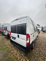 Sun Living V 55 SP MJ 2025 *Softlock* *Bestand* - Kastenwagen