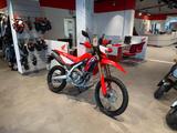 Honda CRF300 2025 Grand Prix Red *Tageszulassung 09-25 - HONDA 300