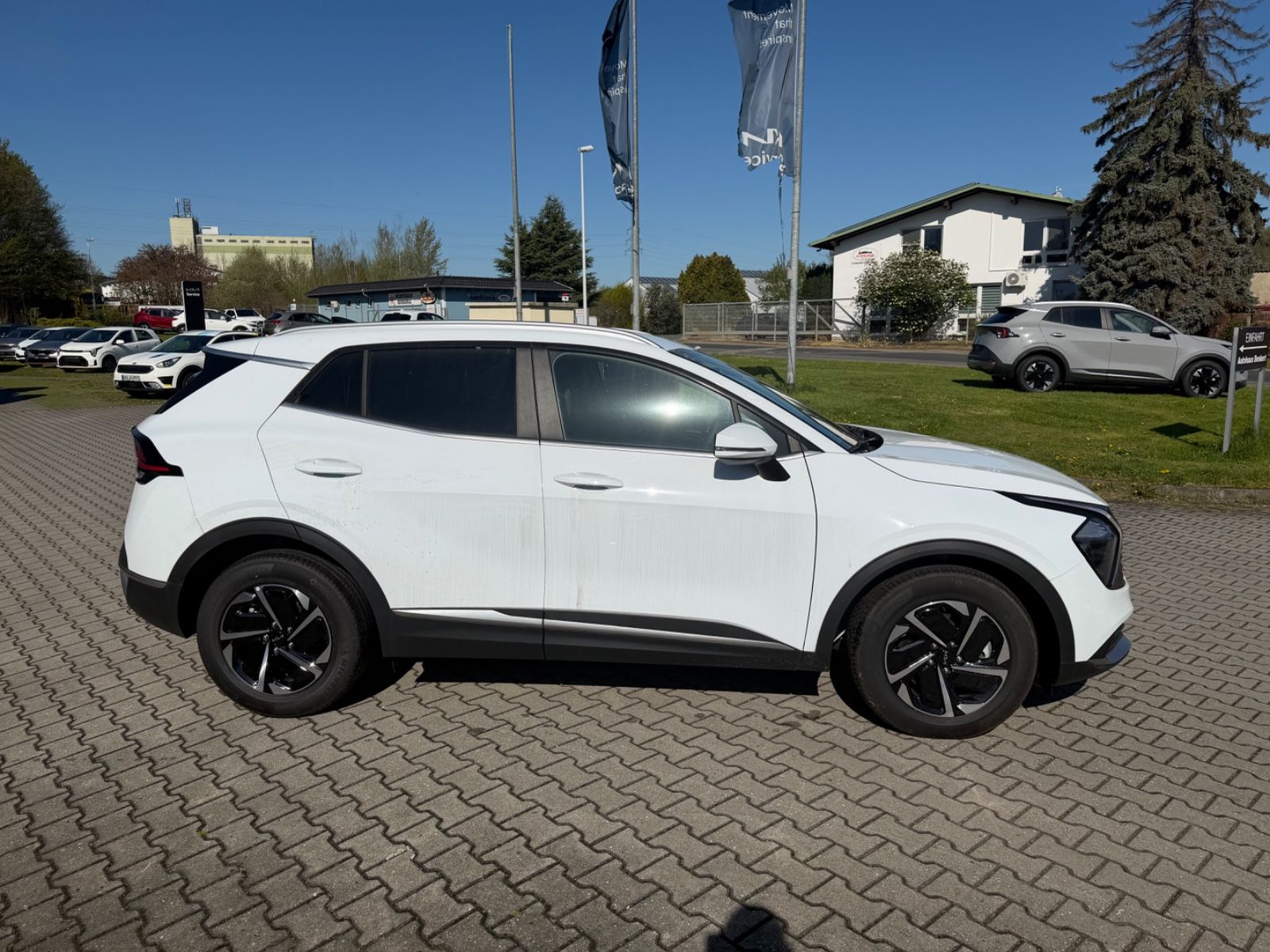 Kia Sportage - Bild 4