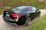 Audi S5 3.0 TFSI S tronic quattro - ABT/Sound-upgrade - Audi S5 mit Benzin-Antrieb: Leder, Sportwagen