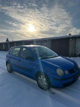 Volkswagen Polo 1.2 47kW Basis Basis - gebrauchte VW Polo aus dem Jahr 2003