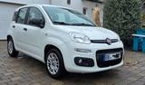 Fiat Panda 1.2 8V EASY *Klima*AHK*wenig Km* - Fiat New Panda in Stuttgart