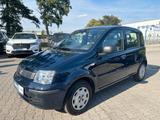 Fiat Panda 1.2 8V MyLive Klima 1-Hand - Fiat Panda