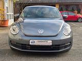 Volkswagen Beetle Lim. Basis BMT !! Top Zustand  - Garantie - Volkswagen Beetle: Sportwagen