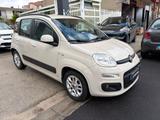 Fiat Panda 1.3 MJT S&S Lounge - Fiat Panda LOUNGE mit Diesel-Antrieb