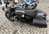 Triumph Street Cup 900 - TRIUMPH STREET