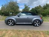 Volkswagen Beetle 1.2 TSI BMT ALLSTAR Cabriolet ALLSTAR - graue Volkswagen Beetle