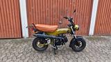 Skyteam ST125-6 (Honda Dax Replica) - SKYTEAM DAX