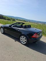 Mercedes-Benz SLK 230 KOMPRESSOR - Top Zustand  - gebrauchte Mercedes-Benz SLK 230 aus dem Jahr 2004