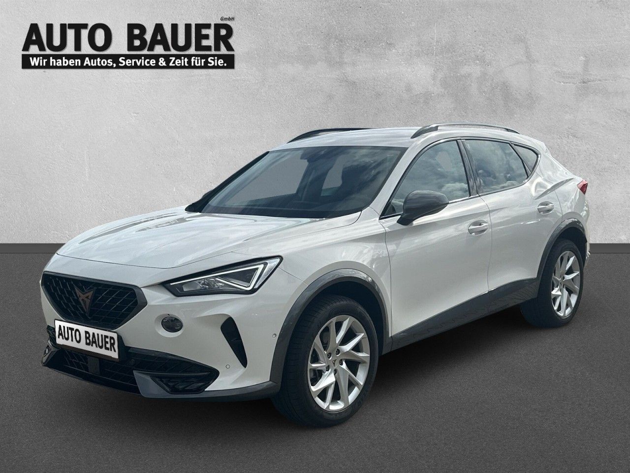 Fahrzeugabbildung CUPRA Formentor 2.0 TSI 4Drive (190 PS) 7-Gang-DSG