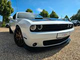 Dodge Challenger 6.4 V8 Night Edit. / Brachialer Sound - gebrauchte Dodge Challenger aus dem Jahr 2018